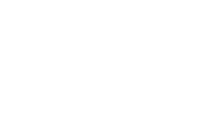 thebridge-logo-white